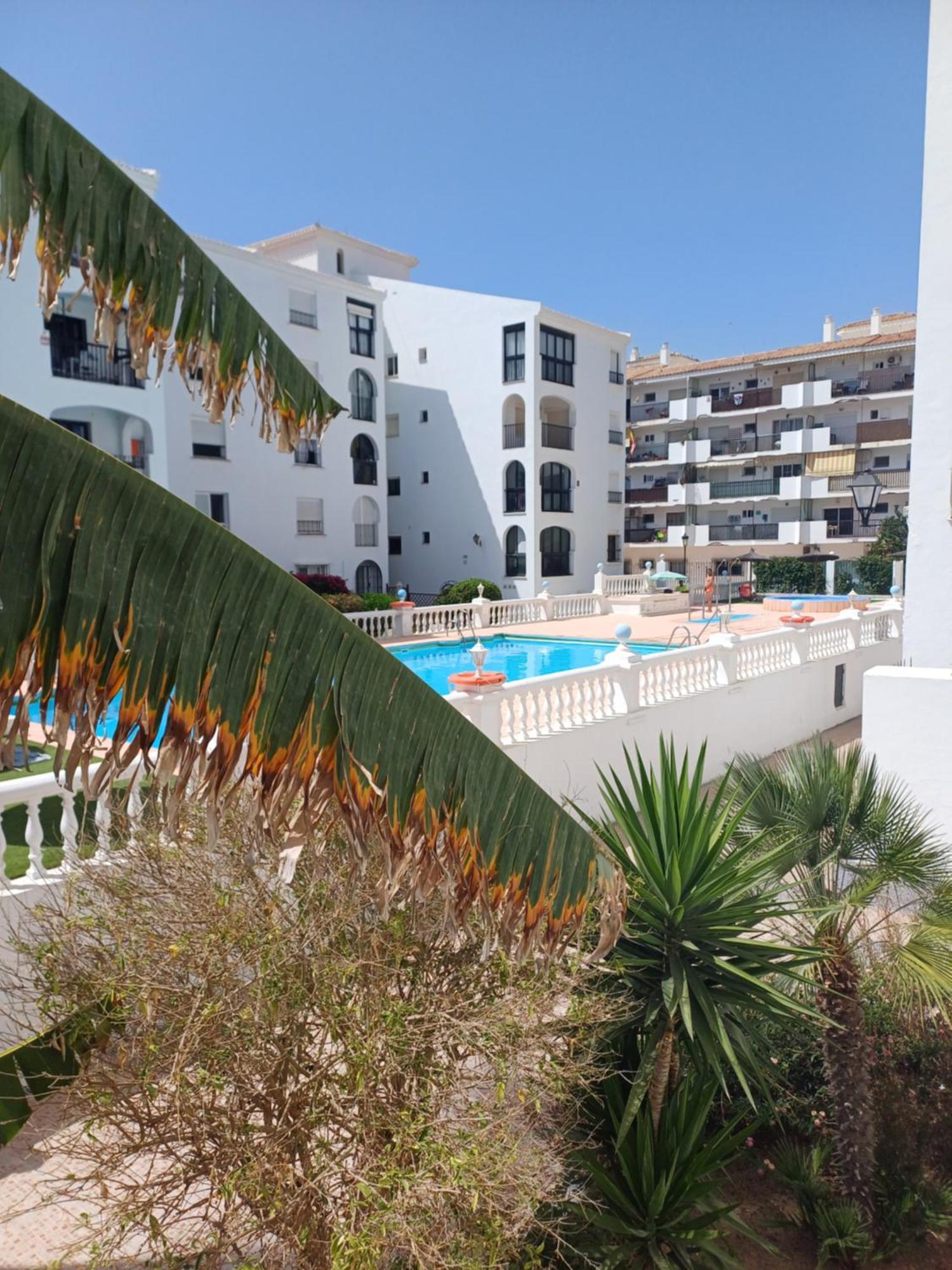 Beautiful Beachfront Newly Renovated 2 Bedroom Apartment With Swimming Pool And Garden 圣路易斯·德·萨比尼尔 外观 照片